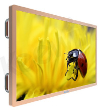 Goldene Farbe 55 Zoll hohe Helligkeit TFT Typ HD LCD Digital Signage mit voller Rückendeckel